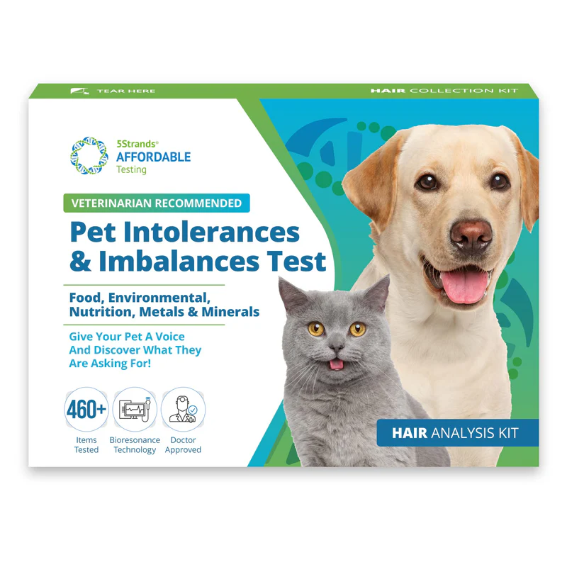 5Strands Pet Food & Environmental Intolerance Test for Dogs & Cats, Nutrition & Metals and Minerals Imbalances - at Home Sensitivity Testing, 481 Items, Results in 5 Days, All Ages and Breeds