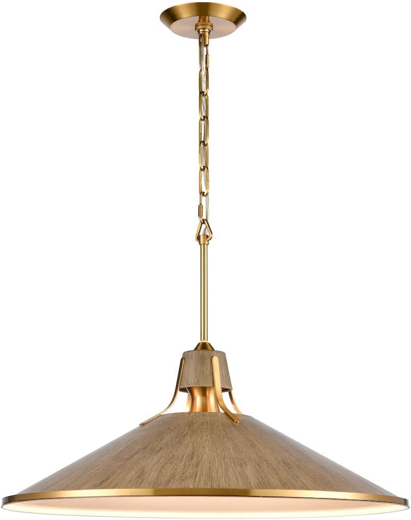 Danique 1-Light Pendant - in Corkwood Finish, with Corkwood Metal Shade, Modern/Contemporary Style