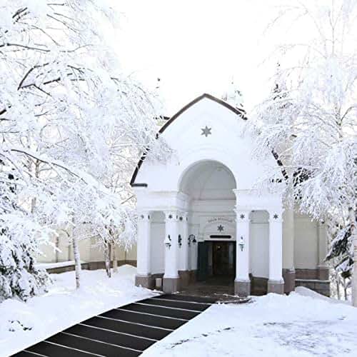 TROONZ PVC Ice Snow Melting Mats, Home Snow Melting System, Heated Outdoor Walkway Mat, Anti-Slip Prevents Ice Accumulation, 2