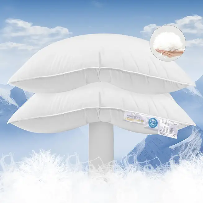 Canadian White Goose Down Pillows Queen Size Set of 2,900+ Fill Power Side Sleeper Pillow for Sleeping Neck Pain Relief,100% Cotton Shell 600 Thread Count Bed White Hotel Quality Fluffy Pillows