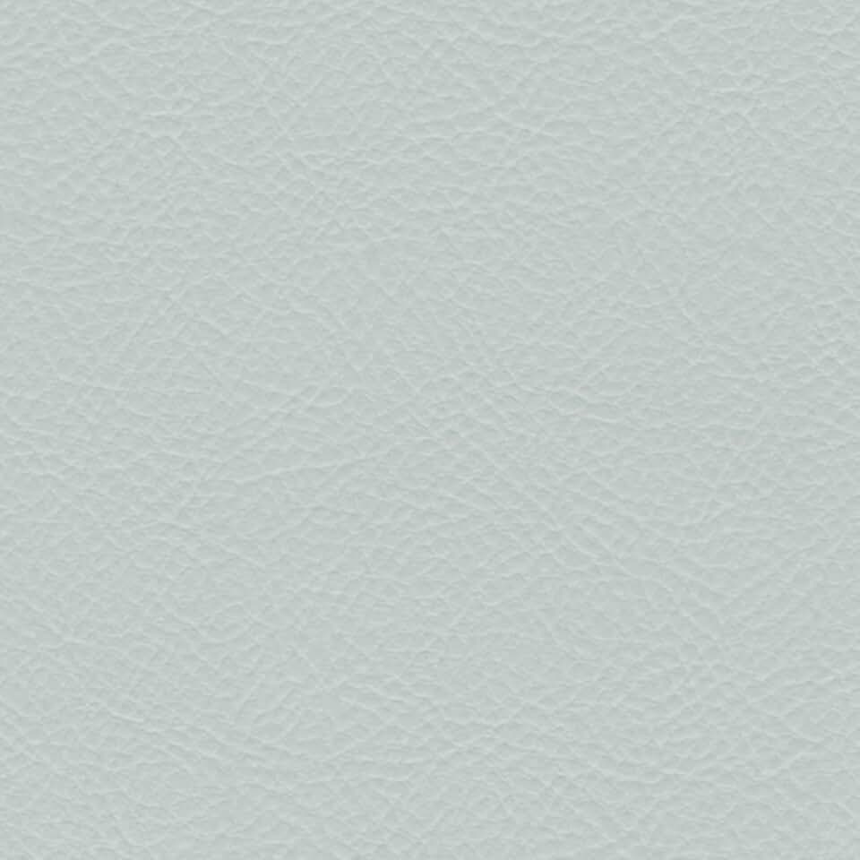 Liz Jordan-Hill Off White Vinyl Faux Leather Grain Upholstery Fabric Material for Furniture, Outdoor, RV, Barstools, DIY Crafting 100% Vinyl Non Woven (55