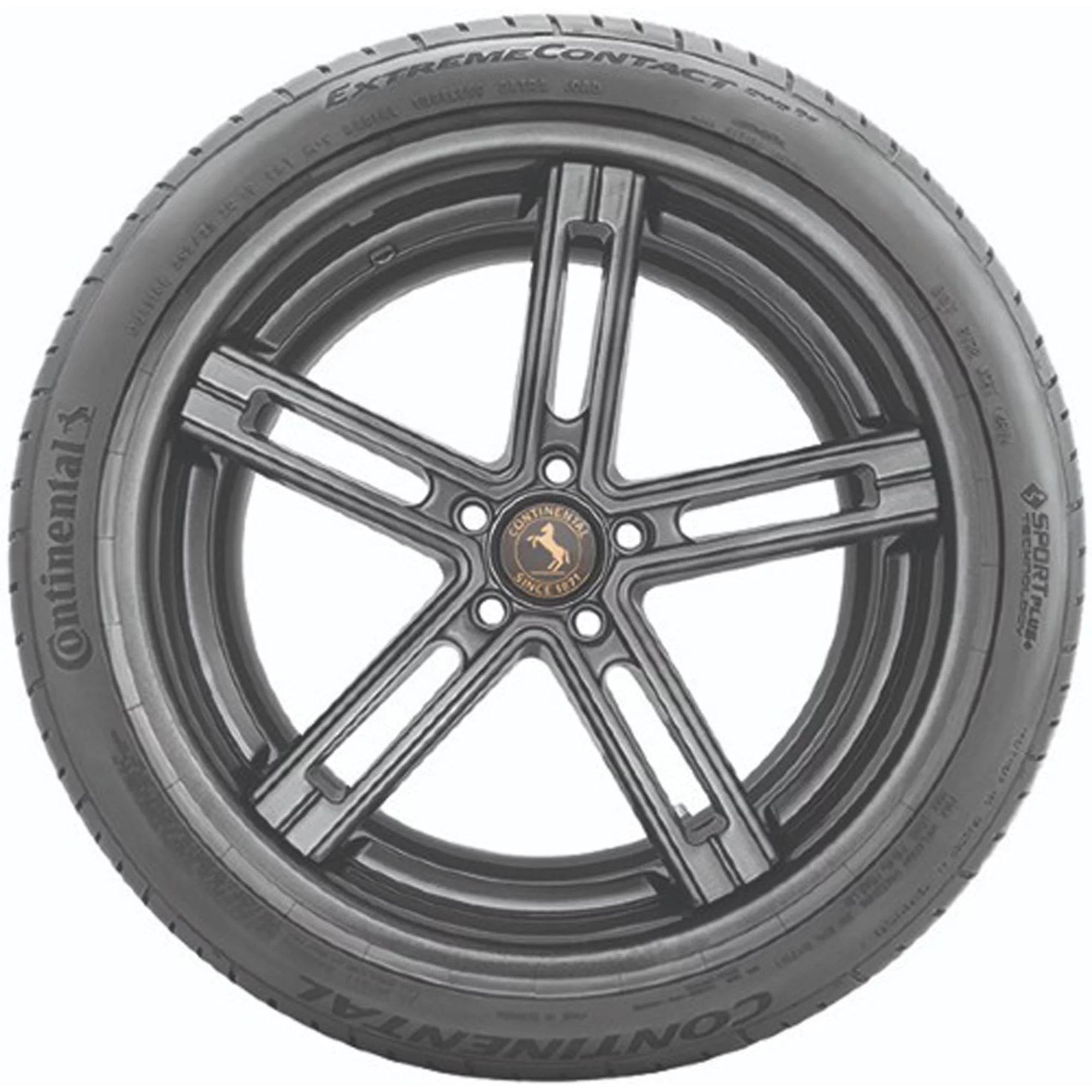 Continental ExtremeContact DWS06 UHP All Season 255/40ZR19 100Y XL Passenger Tire