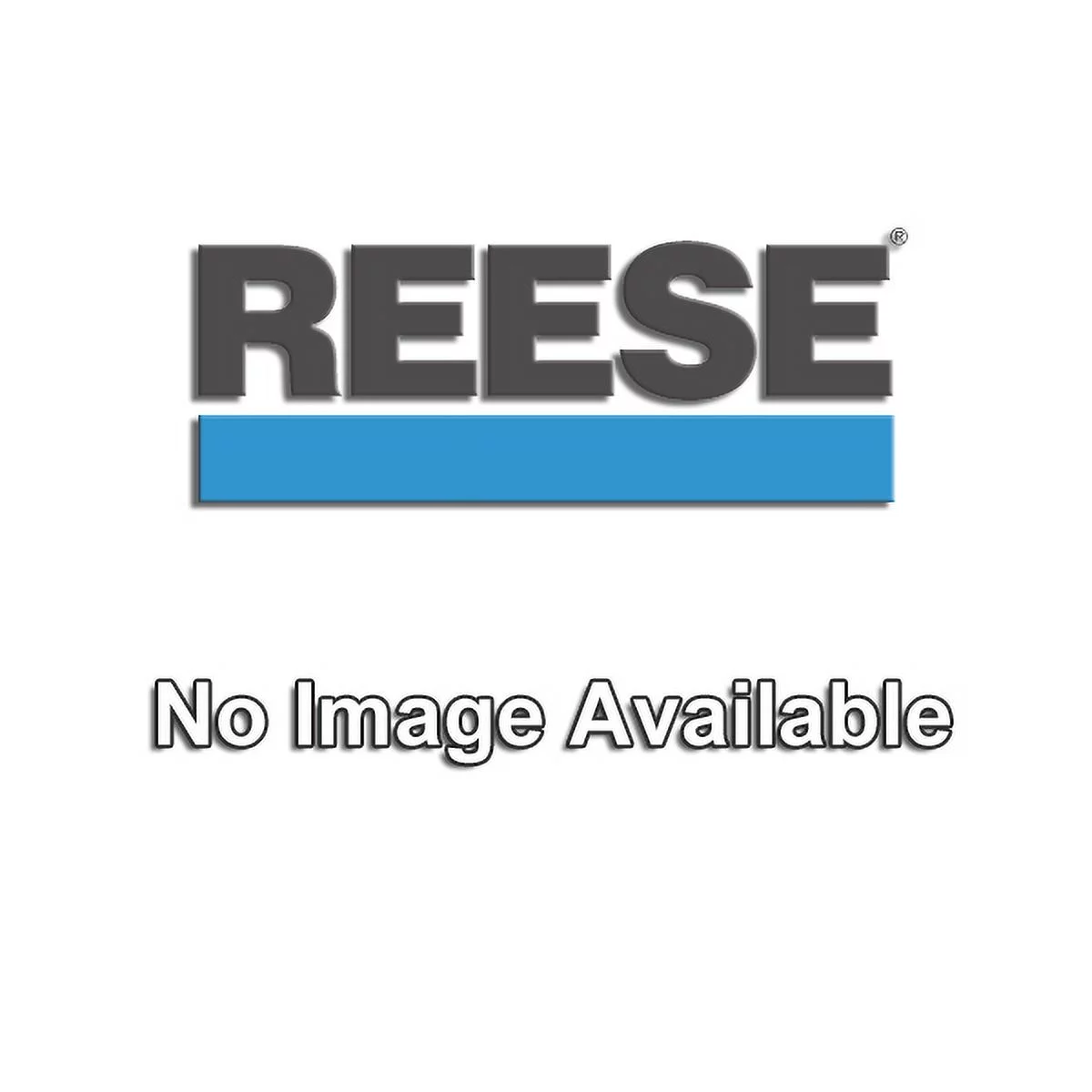 Reese 58133 High-PerFormance Trunnion Bar Weight Distributing Bolt-On Fastener Kit