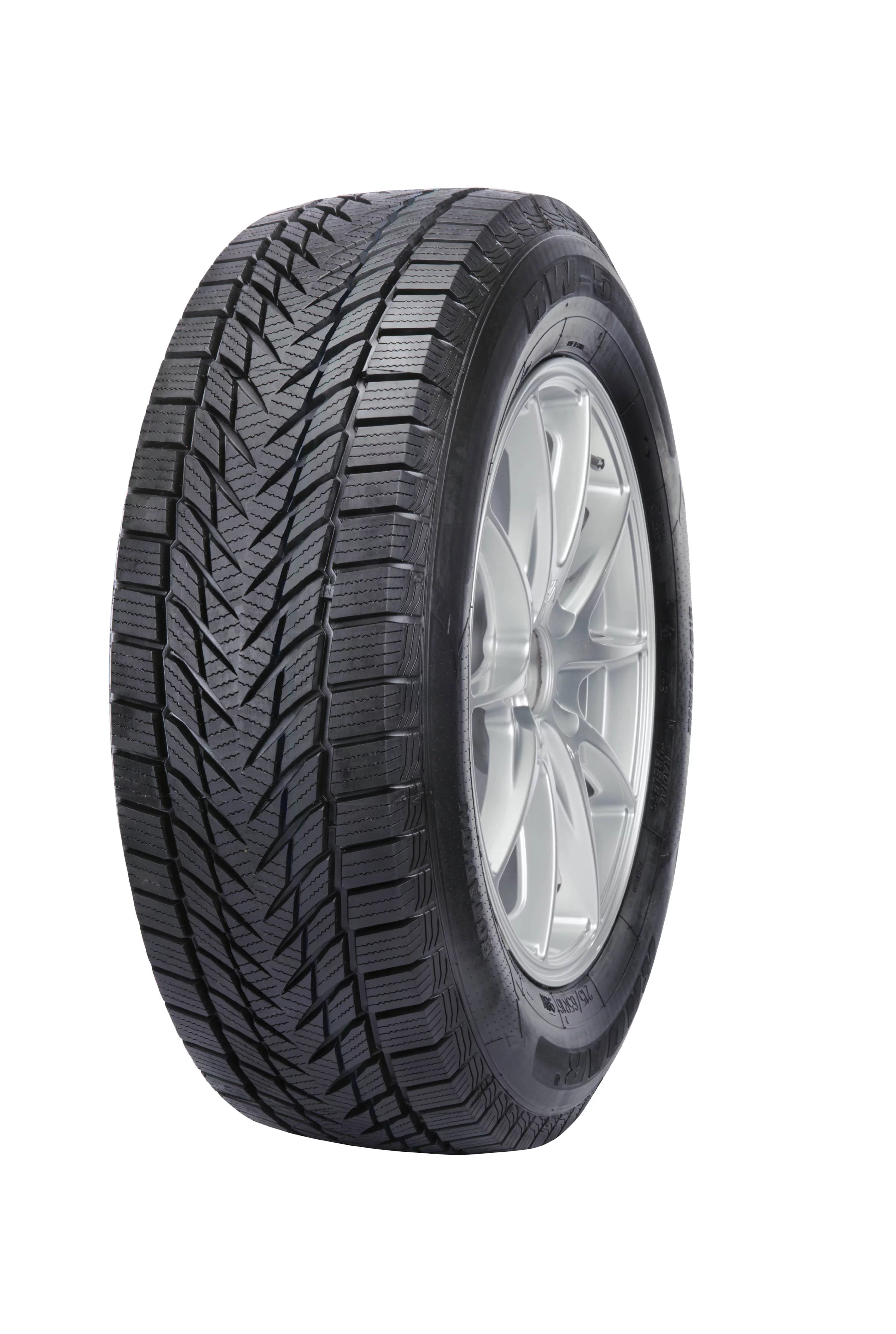 Radar RW-5 205/65R15 94H Passenger Tire Fits: 2006-07 Honda Accord LX, 2005 Honda Accord EX