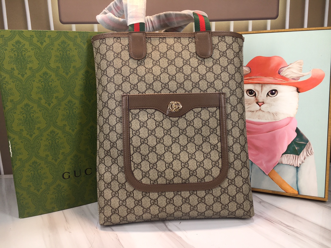 GUCCI Ophidia 744544 31x38x6cm