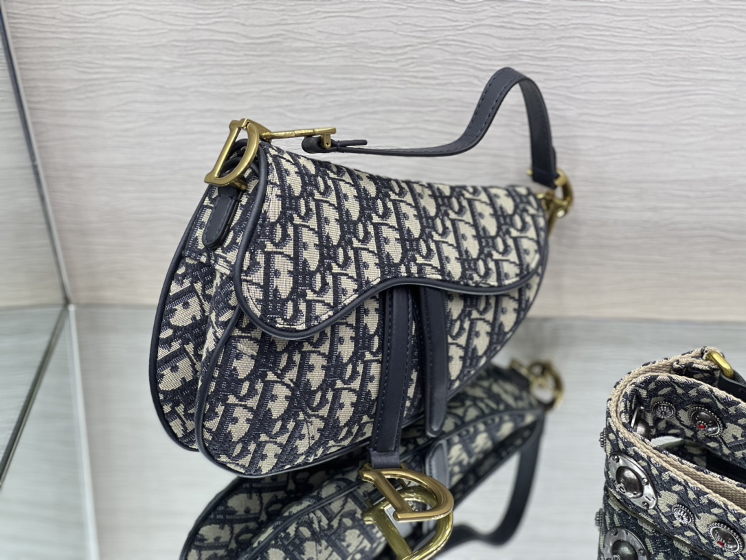Dior Saddle 22402