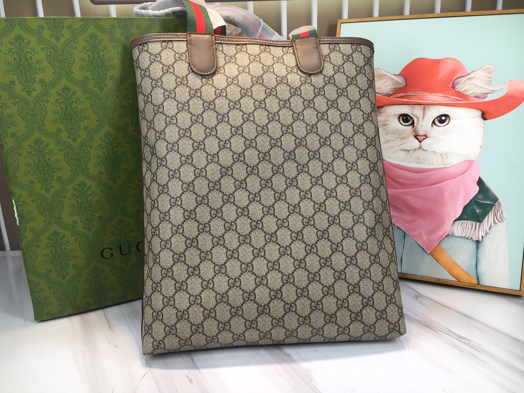 GUCCI Ophidia 744544 31x38x6cm