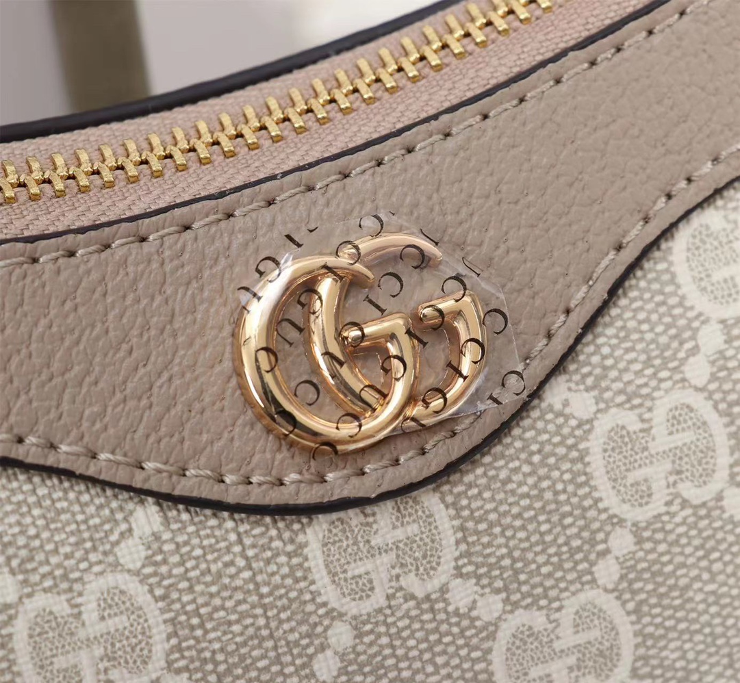 GUCCI Ophidia 735145 21X19X5cm