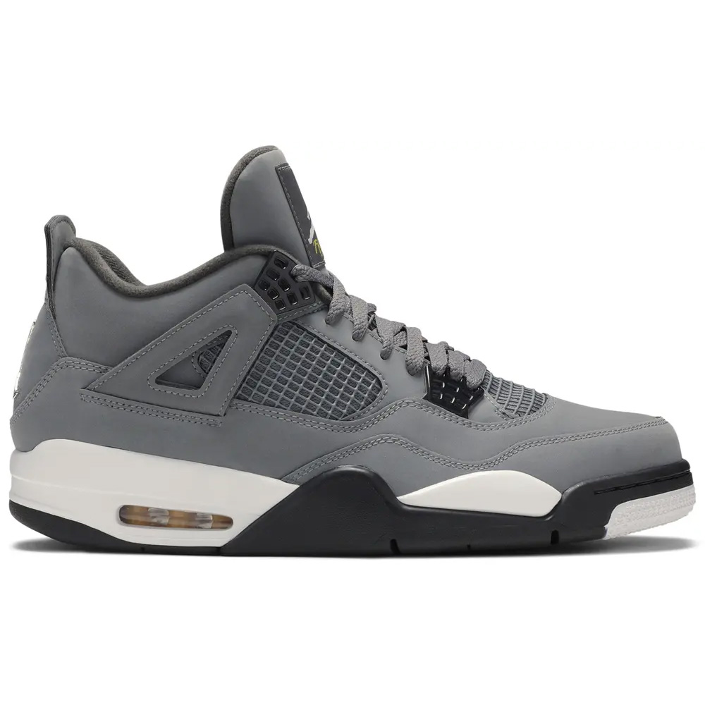 Jordan 4 Retro Cool Grey (2019) 308497 007