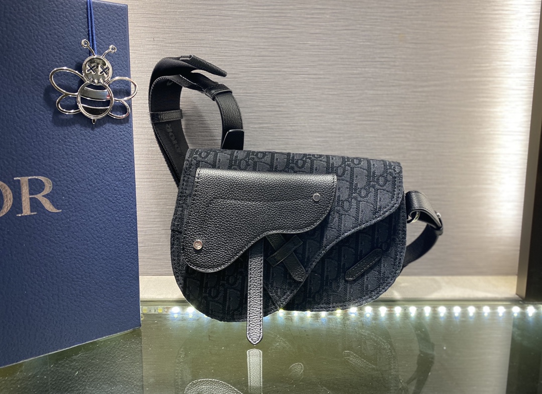 Dior Saddle 22406 24 x 17.5cm