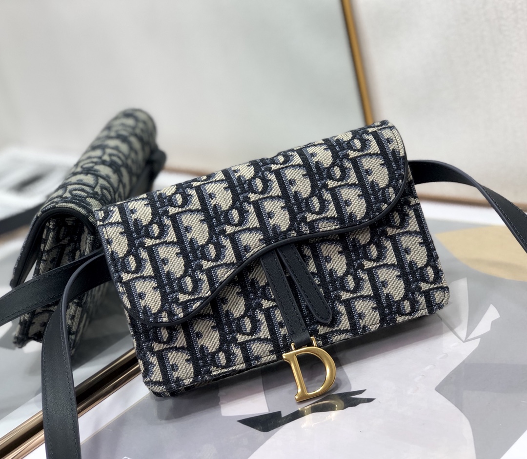 Dior Saddle 2043 17cm