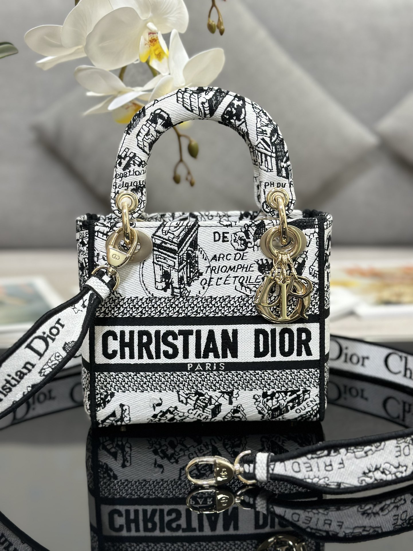 Dior Lady D-Lite M0505 (4)