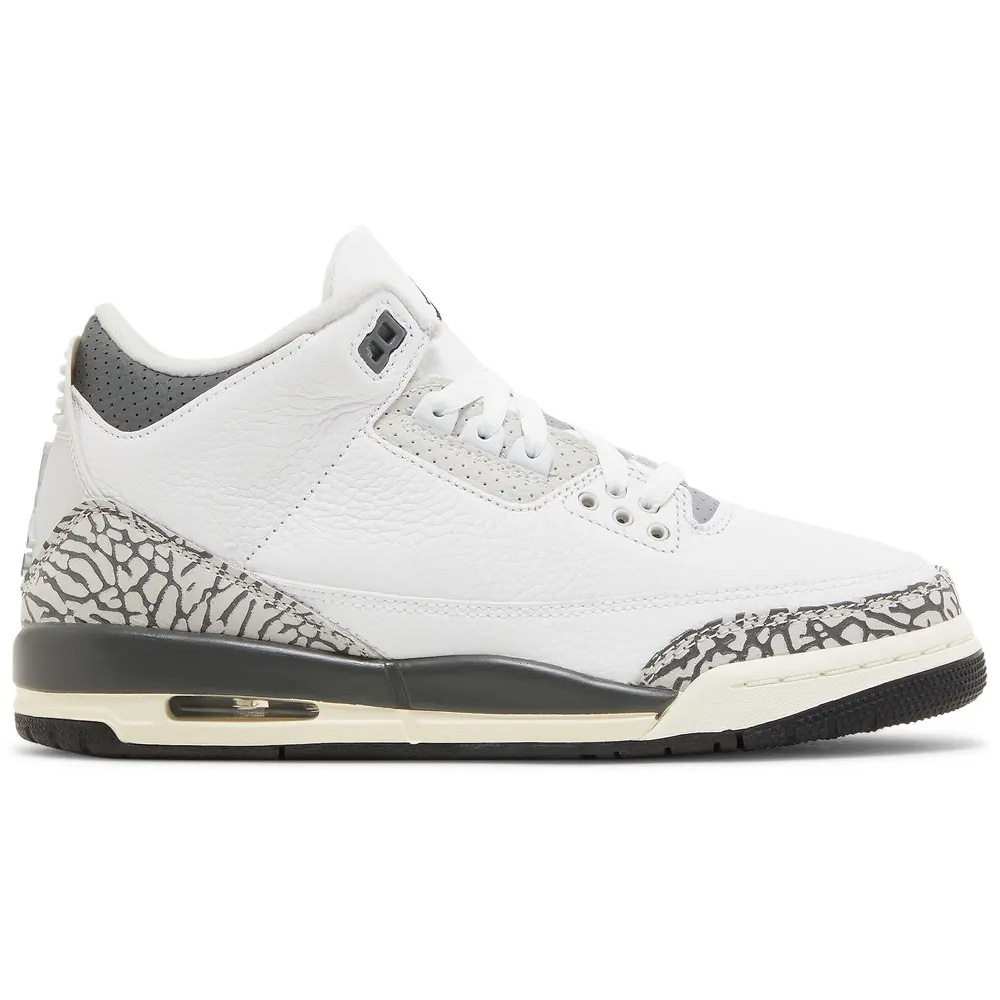 Jordan 3 Retro Hide N' Sneak DX6665-100