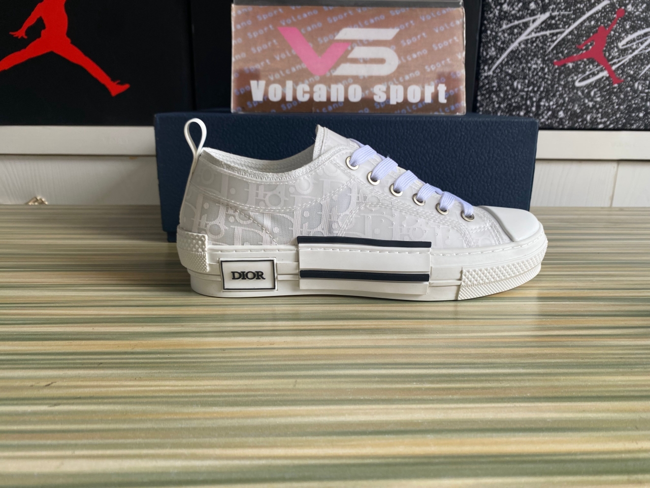 Dior B23 Low Top Oblique