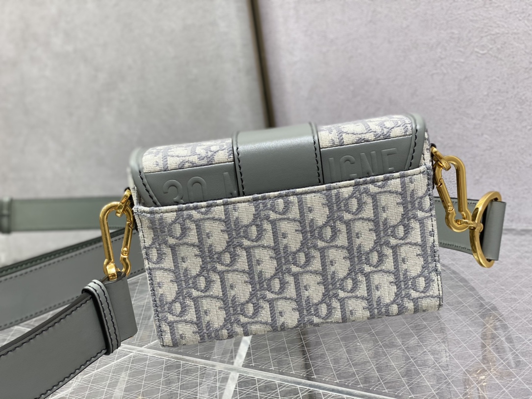 Dior Oblique Mini 8204