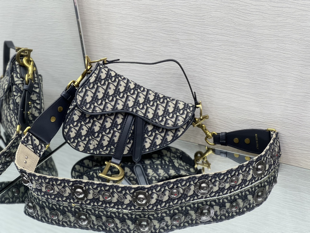 Dior Saddle 22402