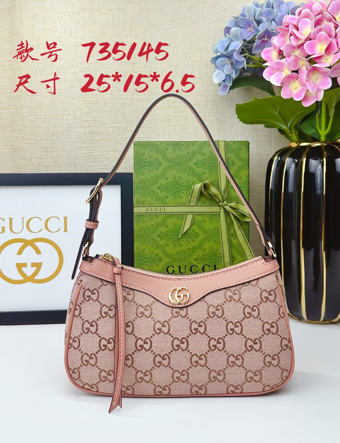 GUCCI Ophidia 735145 21X19X5cm