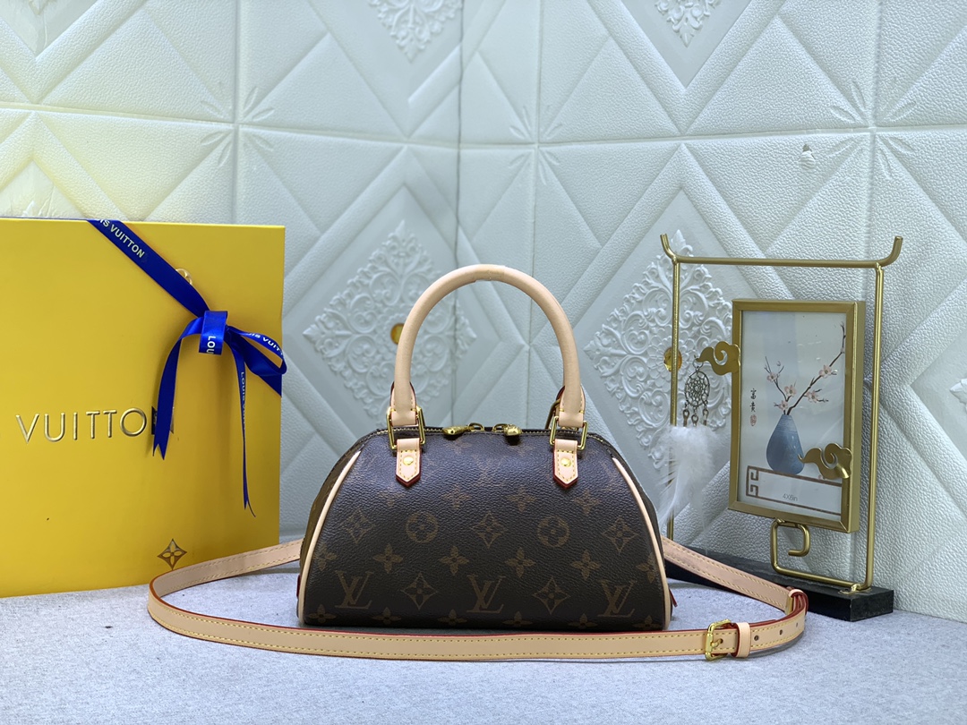 Louis Vuitton N41436 (3)