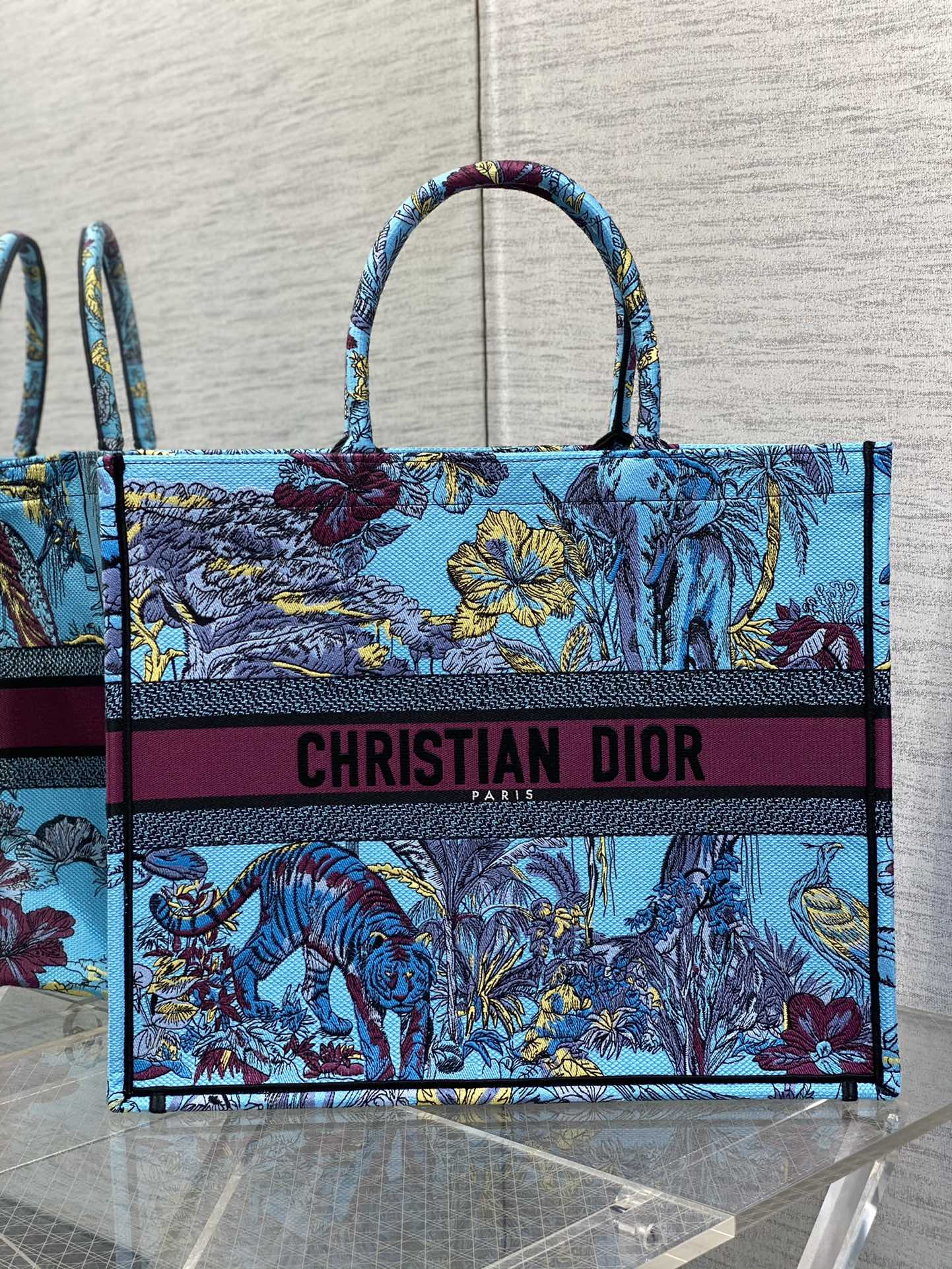 Dior Tote 1286 (7)