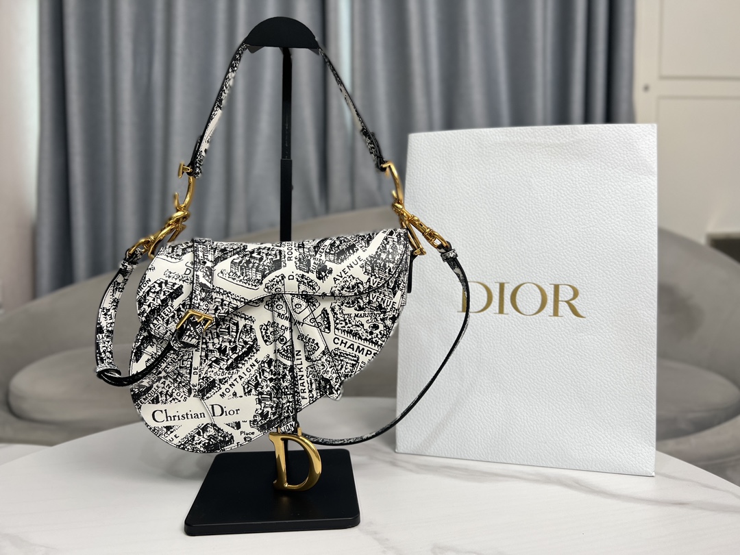 Dior Saddle Bag 928 (2)