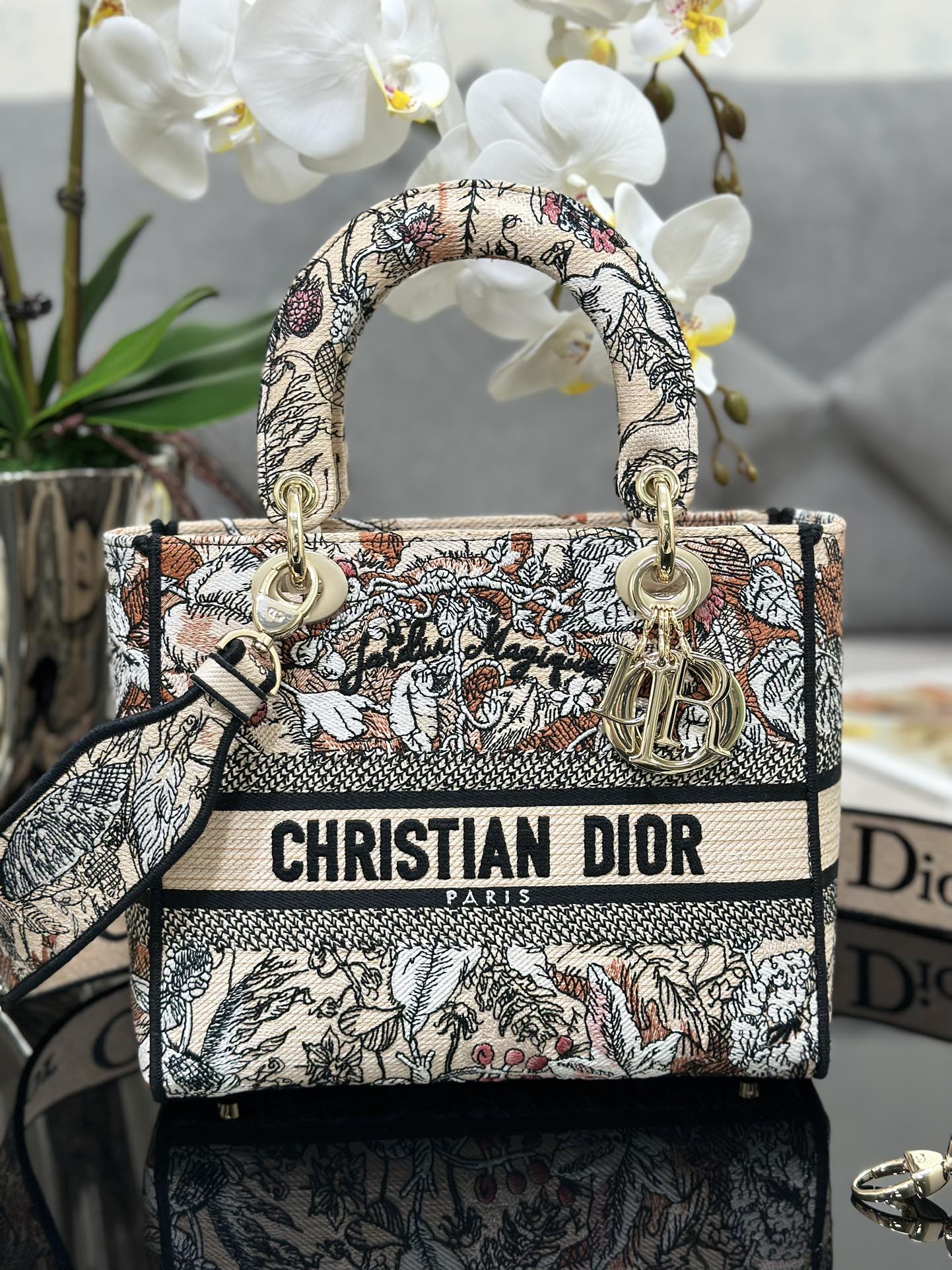 Dior Lady D-Lite 6605 24 x 20 x 11cm