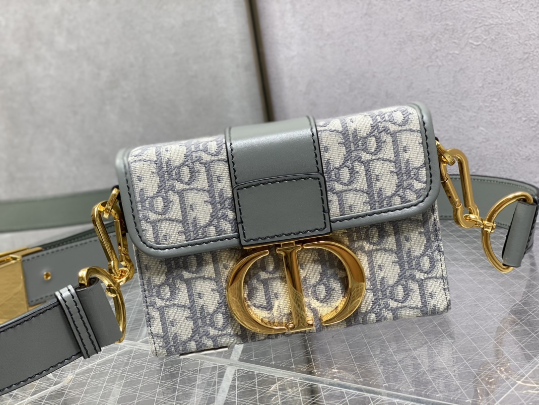 Dior Oblique Mini 8204