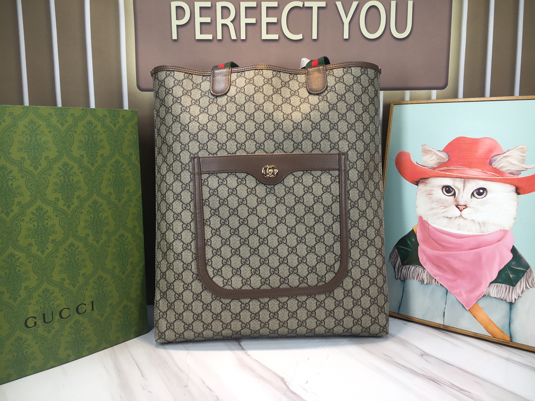 GUCCI Ophidia 744544 31x38x6cm