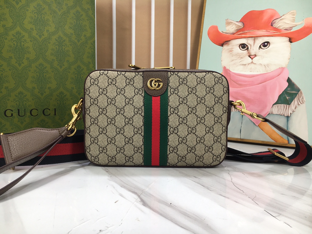 Gucci Ophidia 699439 24.5x16x4.5cm