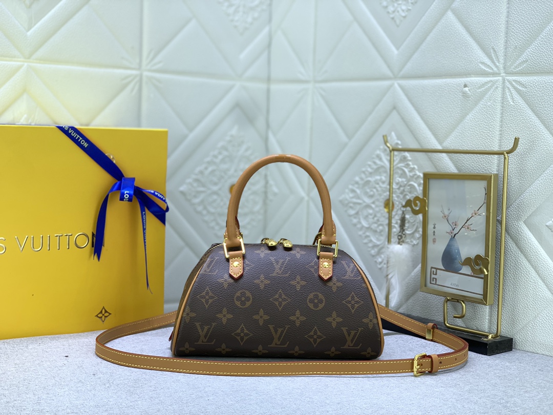 Louis Vuitton N41436