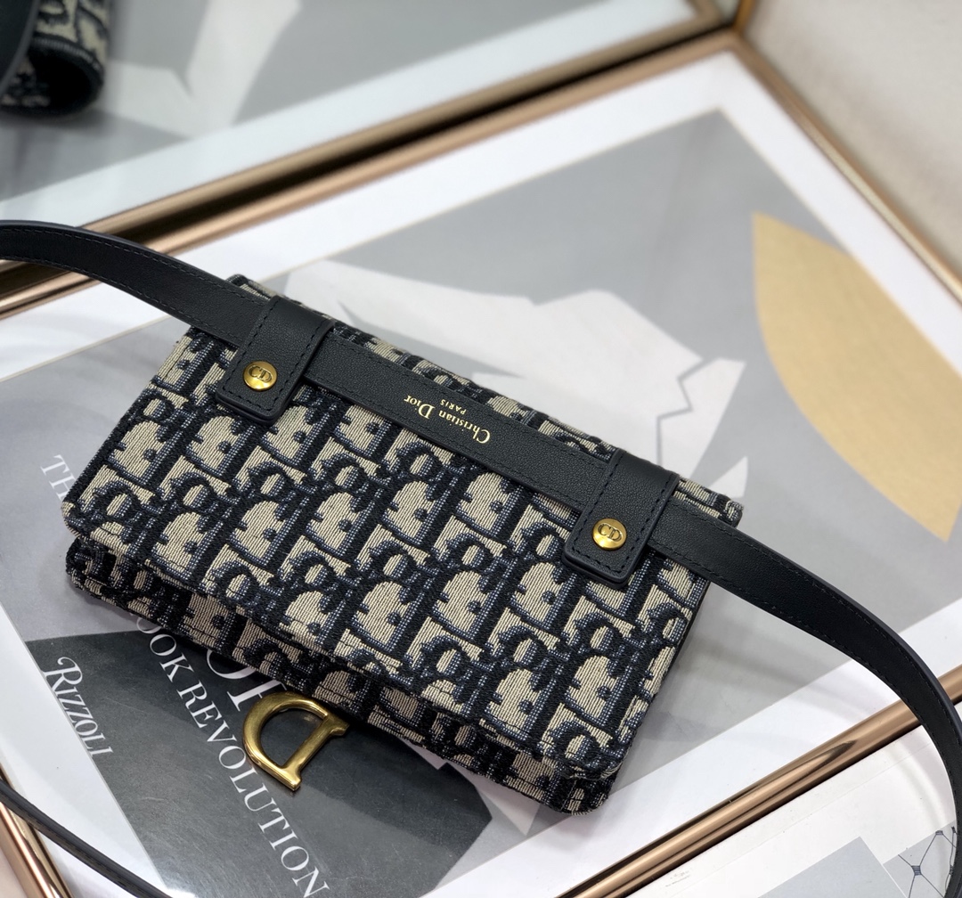 Dior Saddle 2043 17cm