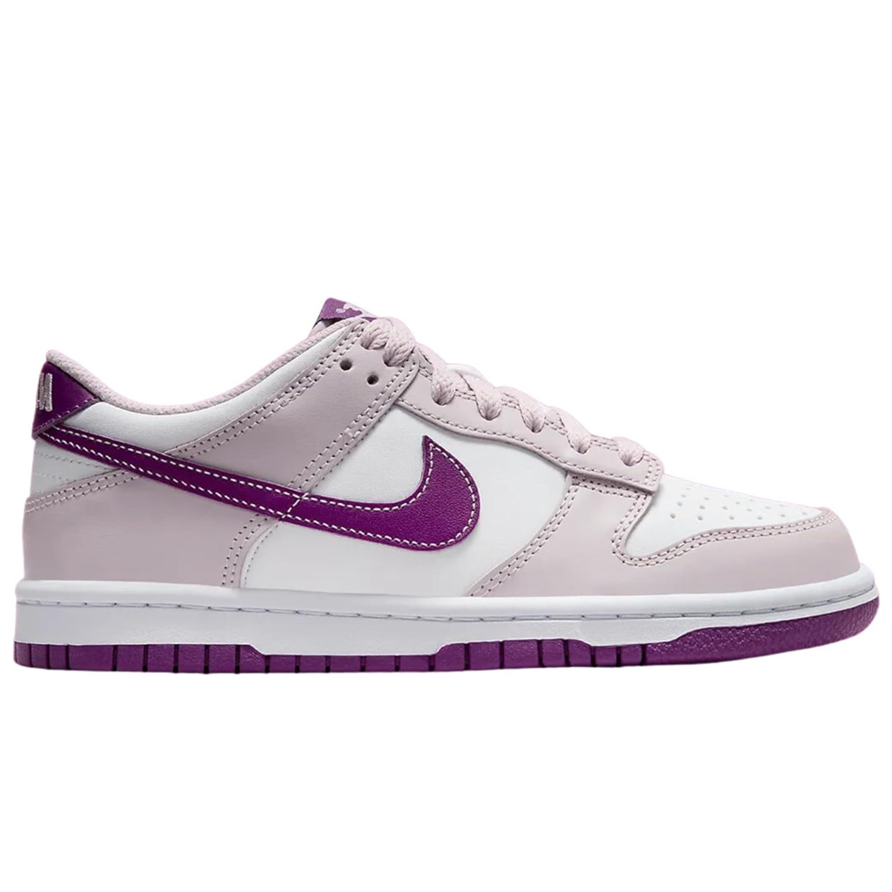Nike Dunk Low FB9109-107