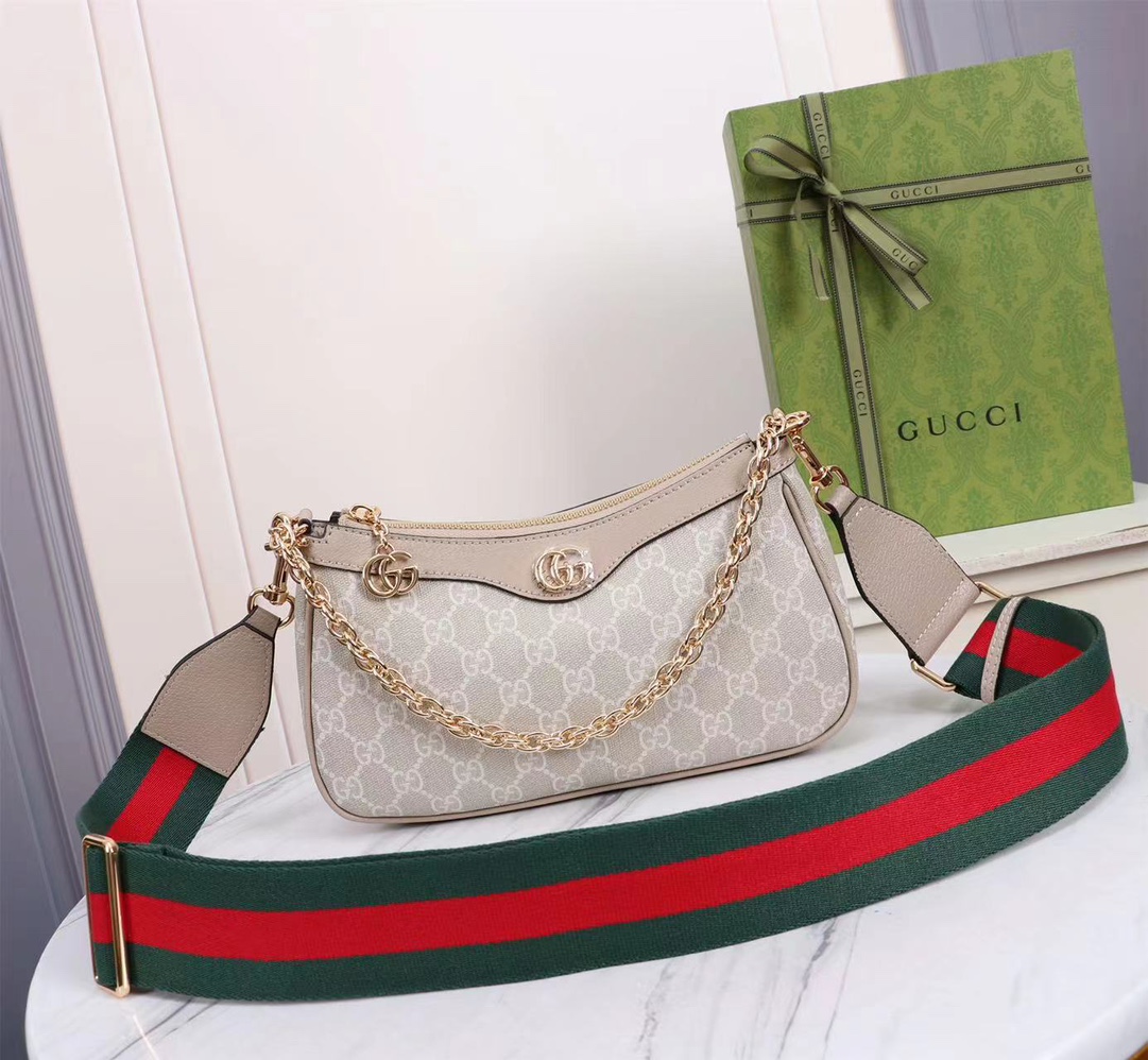 GUCCI Ophidia 735132 25x15.5x6cm