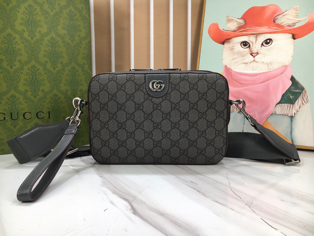 Gucci Ophidia 699439 24.5x16x4.5cm