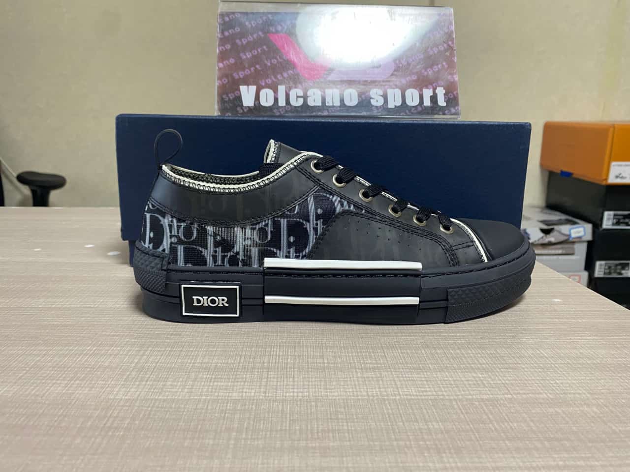 Dior B23 Low Top Canvas Oblique Black