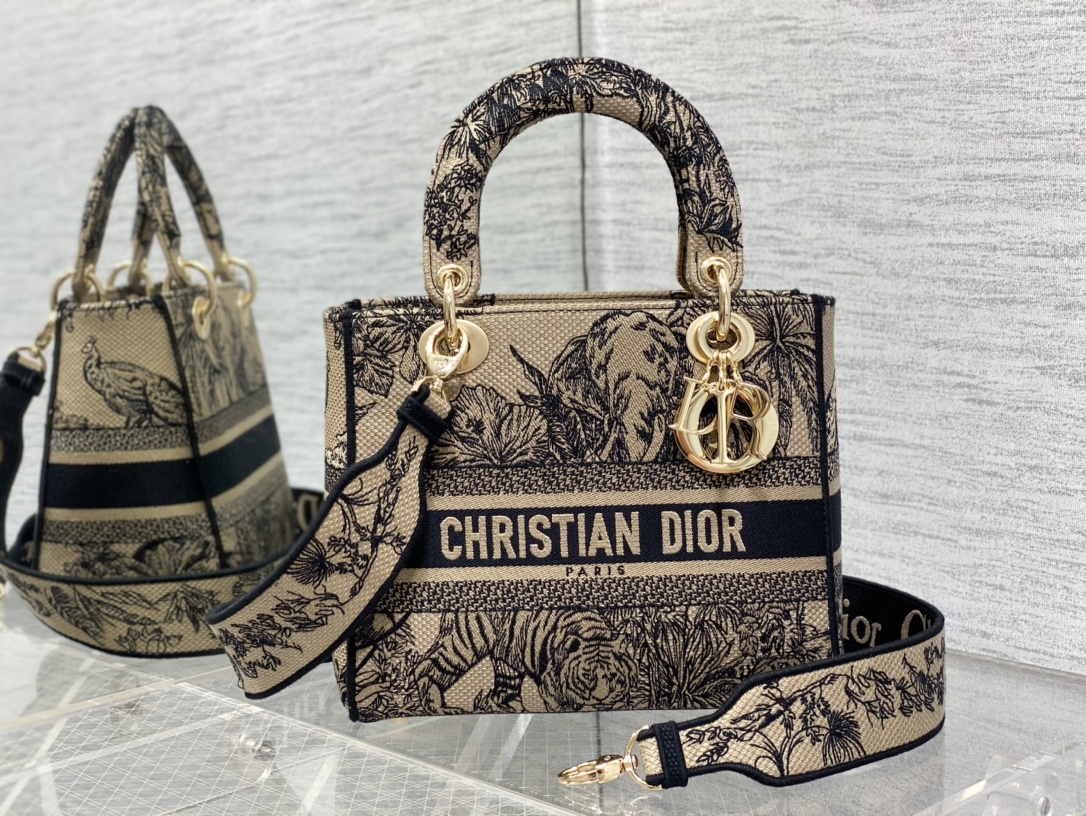 Dior Lady (5)