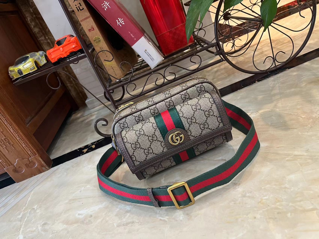 GUCCI Ophidia 20*12.5*9cm