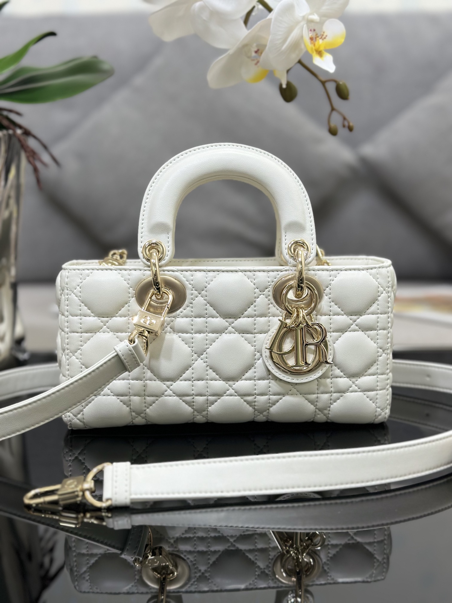 Dior Lady M0613 22 x 12 x 6cm