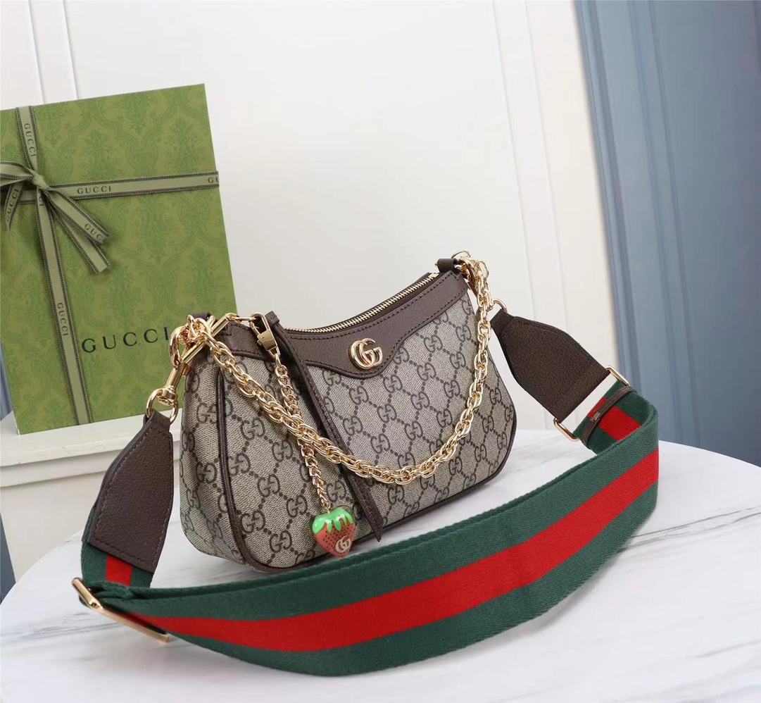 GUCCI Ophidia 735132 25x15.5x6cm