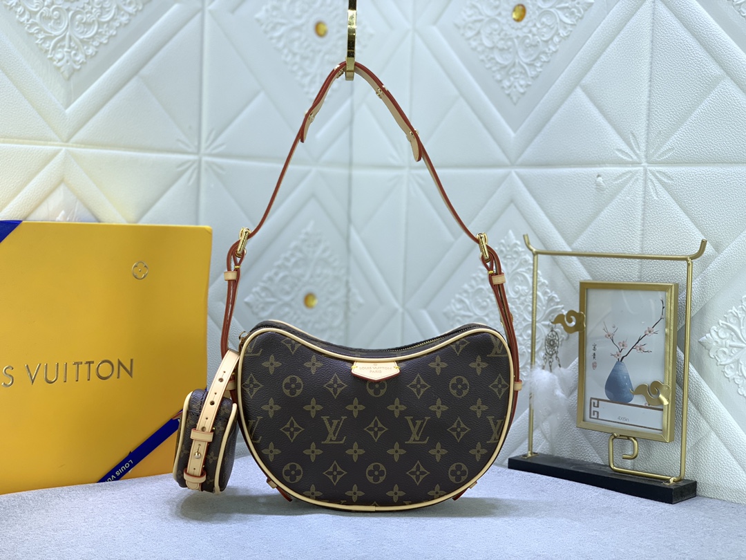 Louis Vuitton monogram M46856 (2) 24x15x6cm