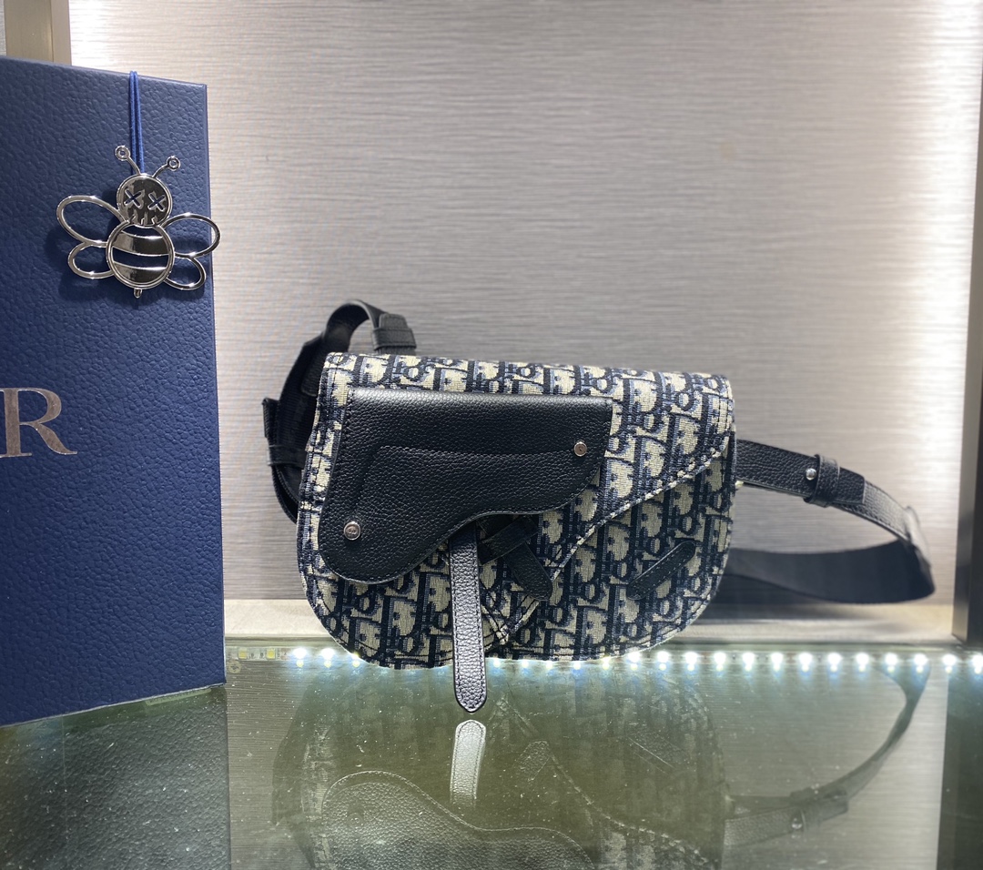 Dior Saddle 22406(3) 24 x 17.5cm