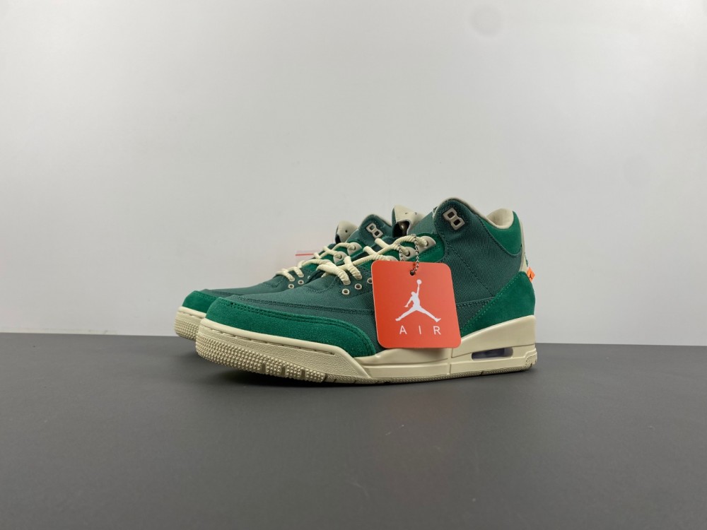 Jordan 3 Retro SP Nina Chanel Abney Bicoasta FZ7974-300