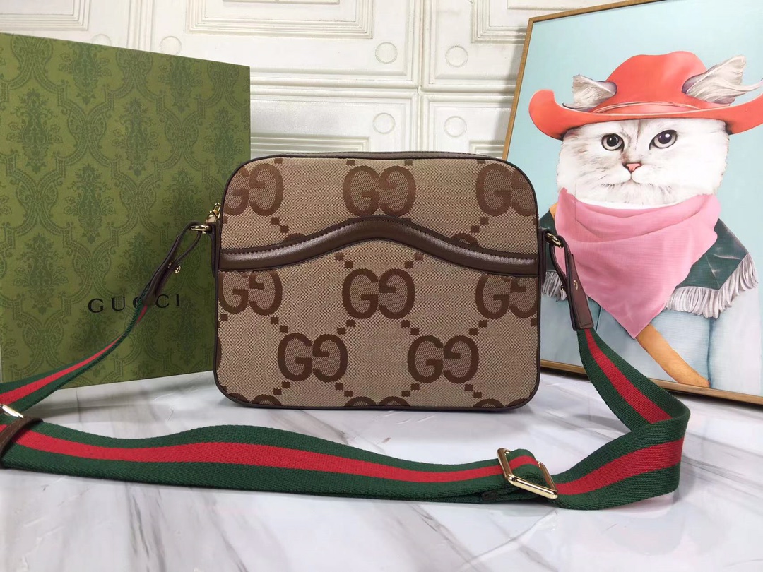 Gucci Ophidia 675891 25.5x20x6cm