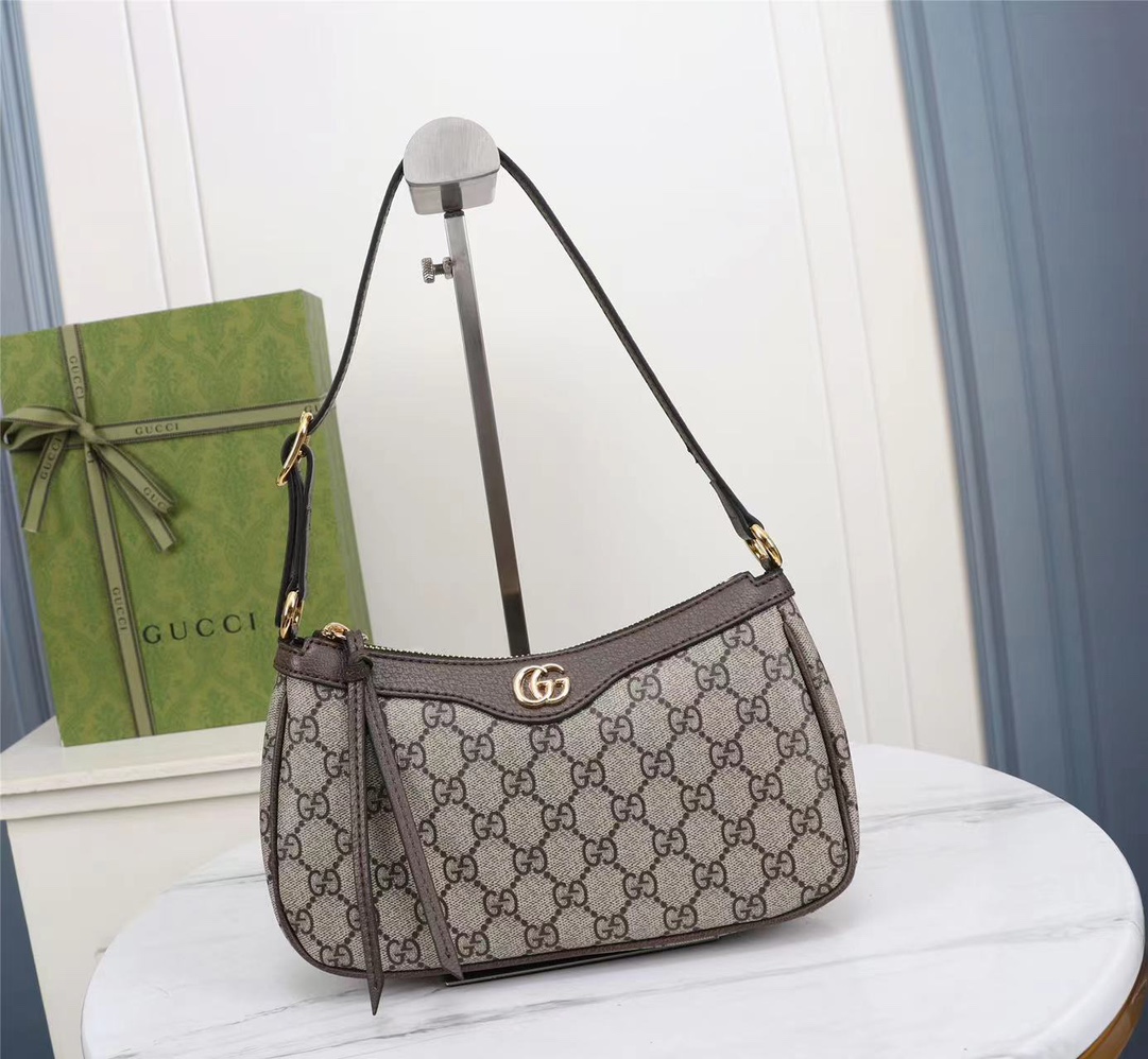 GUCCI Ophidia 735145 21X19X5cm
