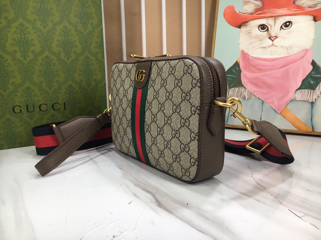 Gucci Ophidia 699439 24.5x16x4.5cm