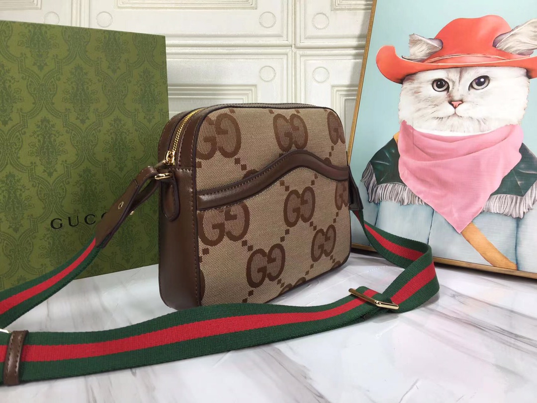 Gucci Ophidia 675891 25.5x20x6cm