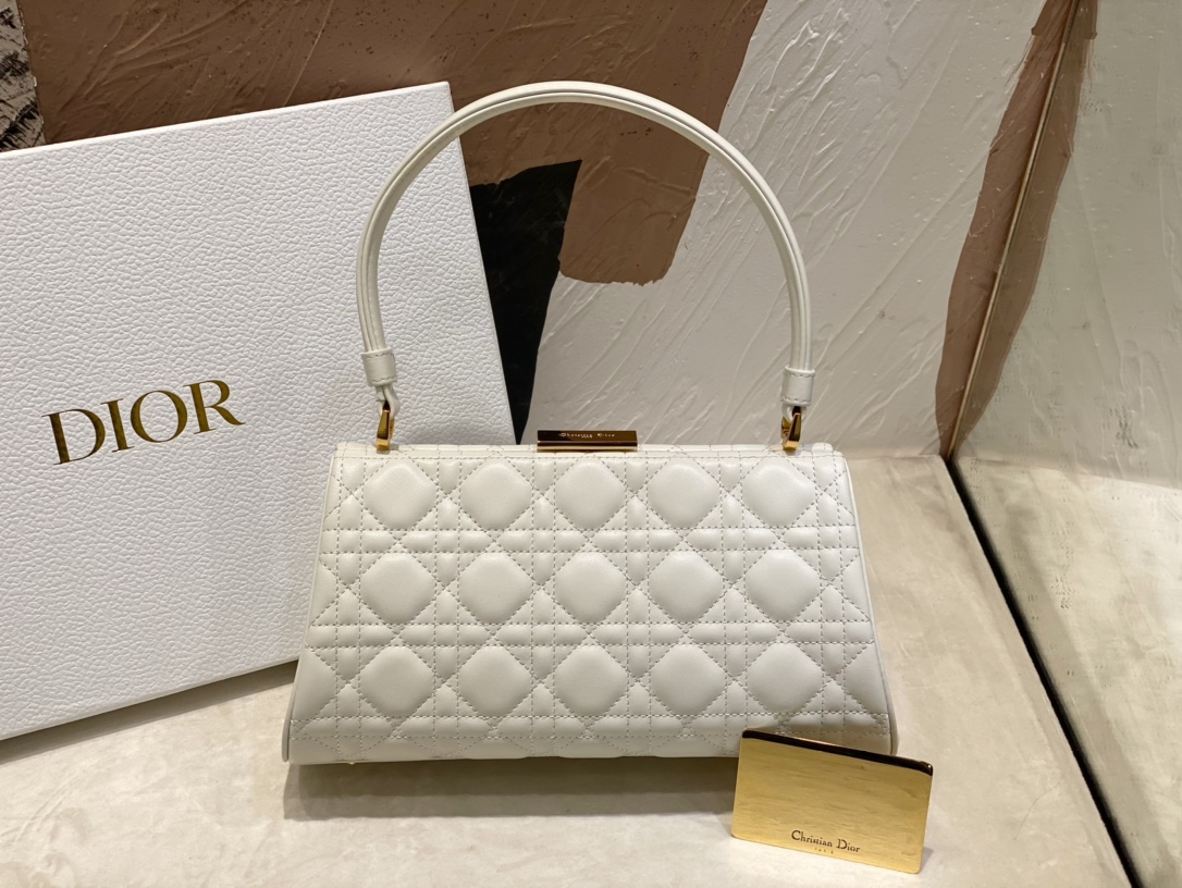 Dior 4530 (3) 26 x 9 x 14.5cm