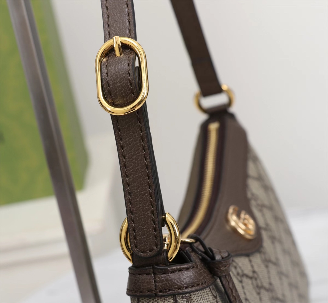 GUCCI Ophidia 735145 21X19X5cm
