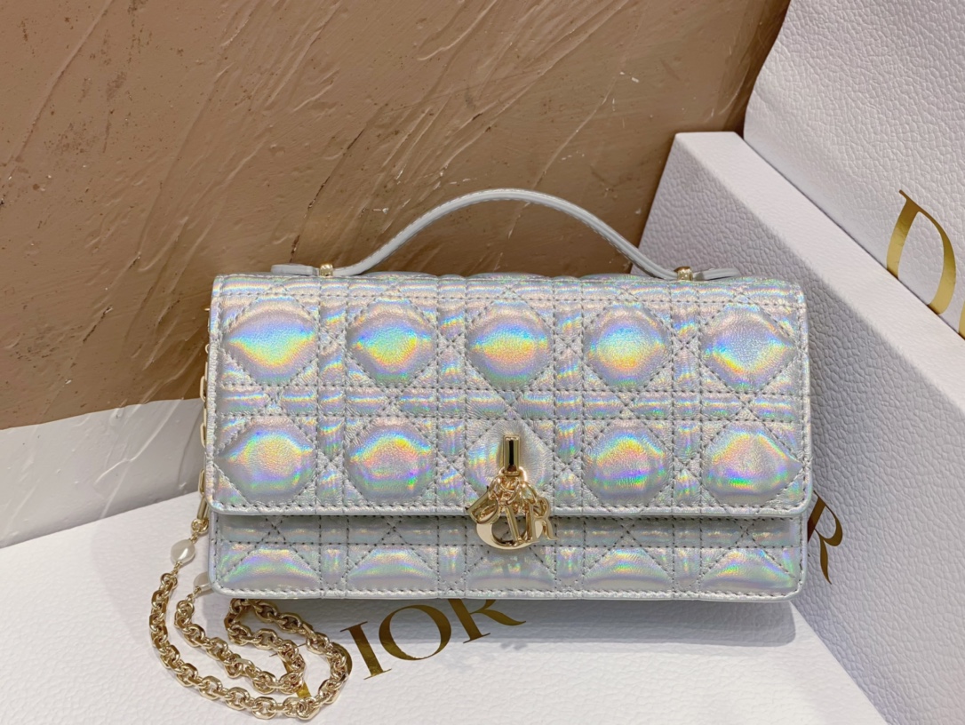 Dior Lady 0980 (2) 21 x 11.5 x 4.5 cm