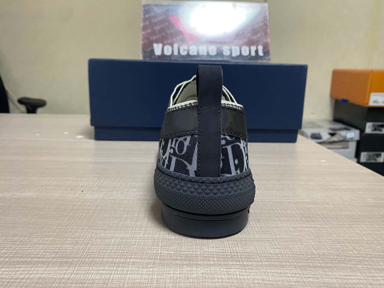 Dior B23 Low Top Canvas Oblique Black