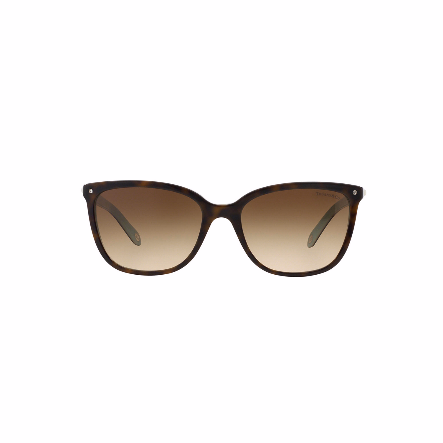 Square Sunglasses TF4105HB